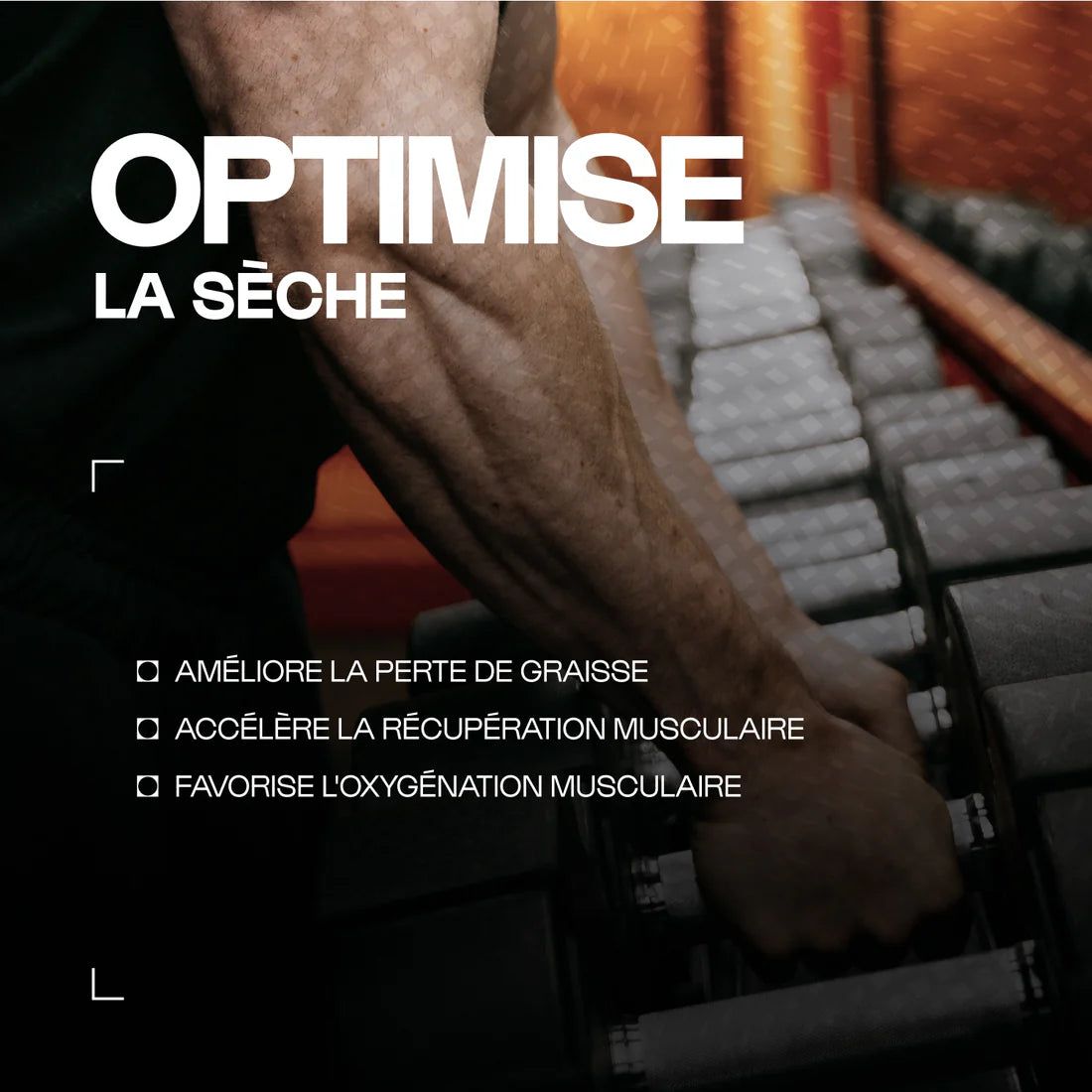 Carnitine Carnipure - Nurimuscle