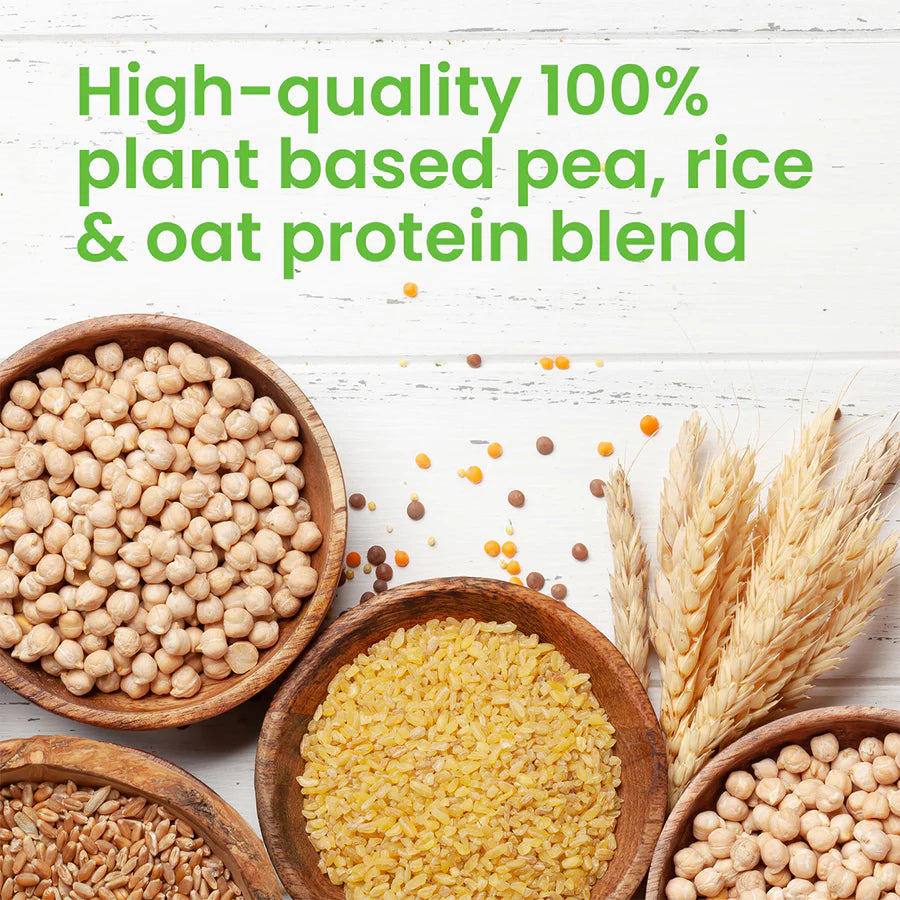 VPLab Nutrition - VPLAB Vegan protein 500g