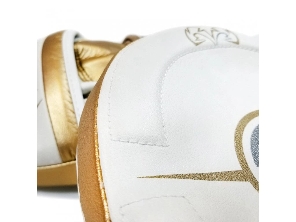 RPM100 Professional Punch Mitts - Rival