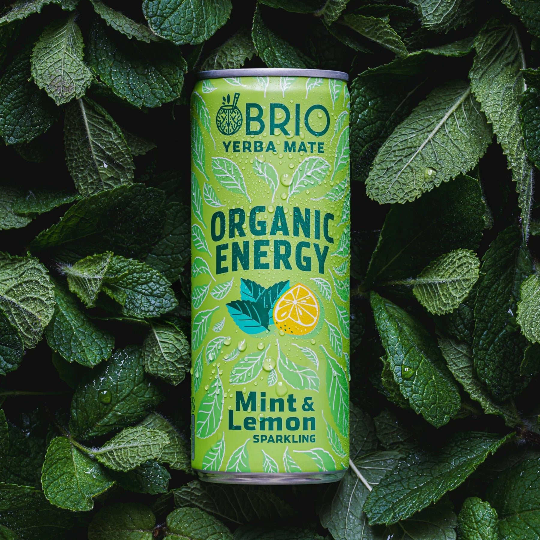 BRIO YERBA MATE - Organic Energy