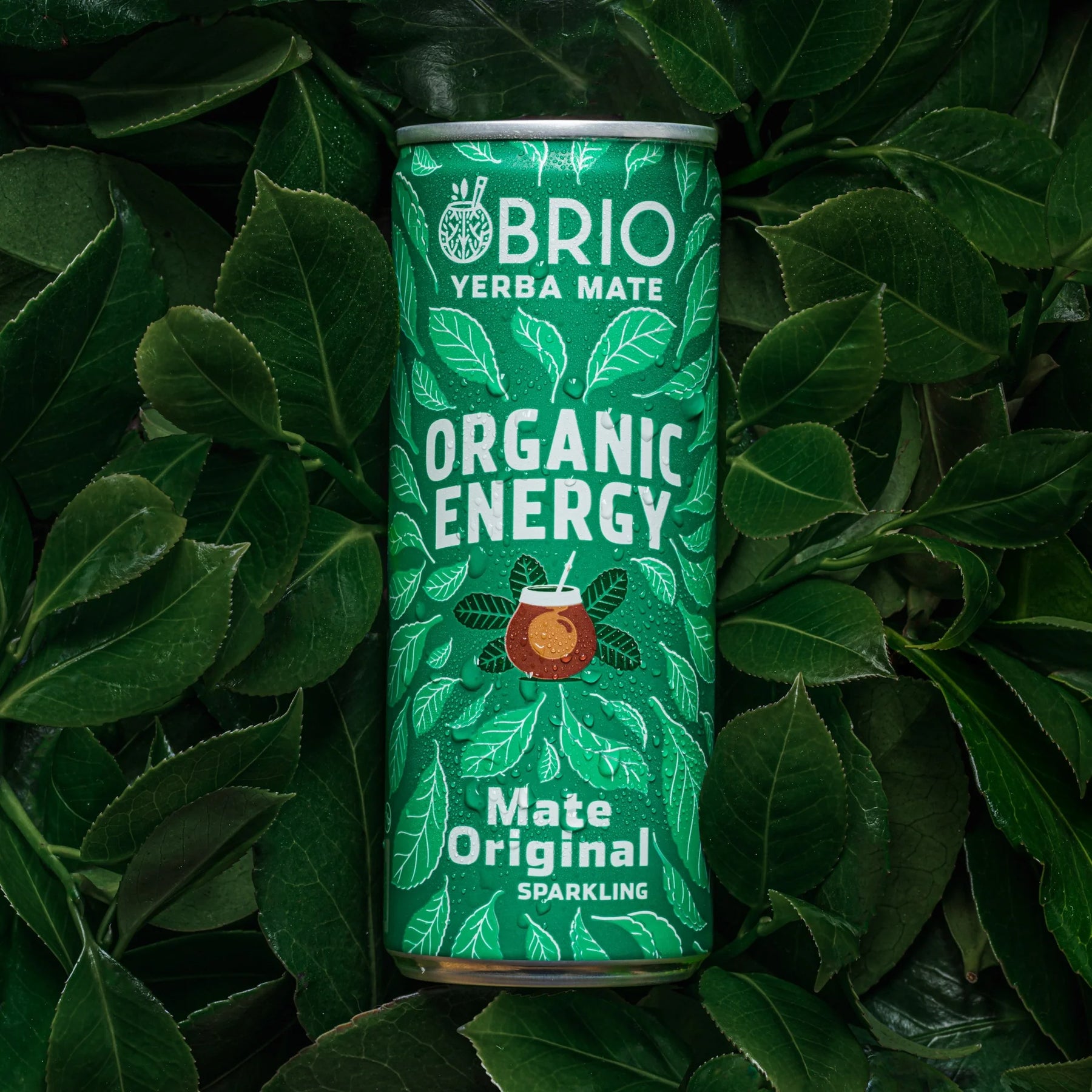 BRIO YERBA MATE - Organic Energy