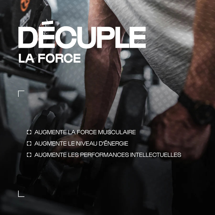 Créatine (Creapure®) en poudre - Nutrimuscle