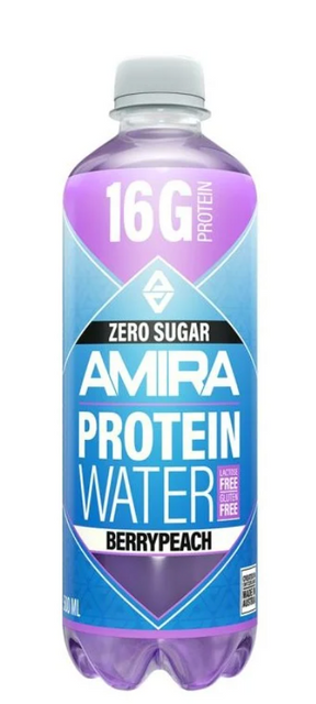 AMIRA - Protein Water