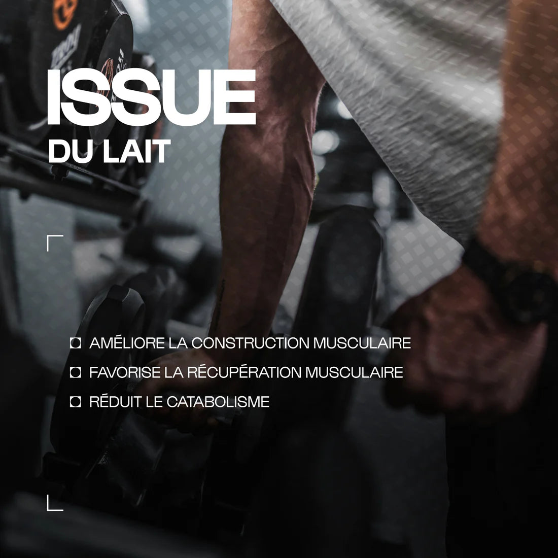 Nutrimuscle - Whey Native