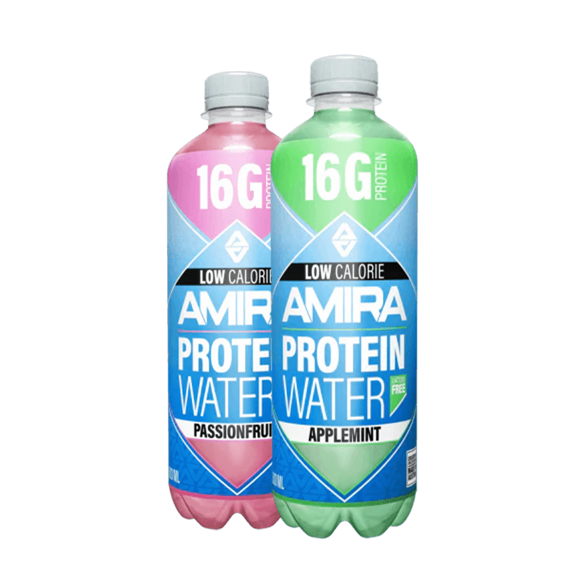 AMIRA - Protein Water