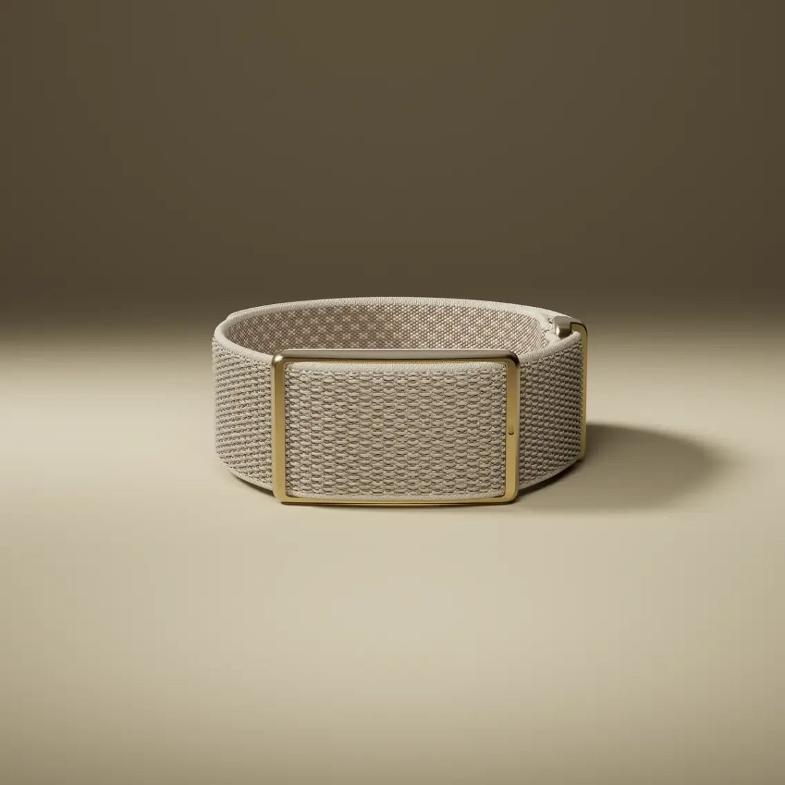 Polar Loop 2 | Bracelet d'Activité Connecté avec Suivi de la Fréquence Cardiaque