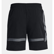 UA Baseline Woven Short II