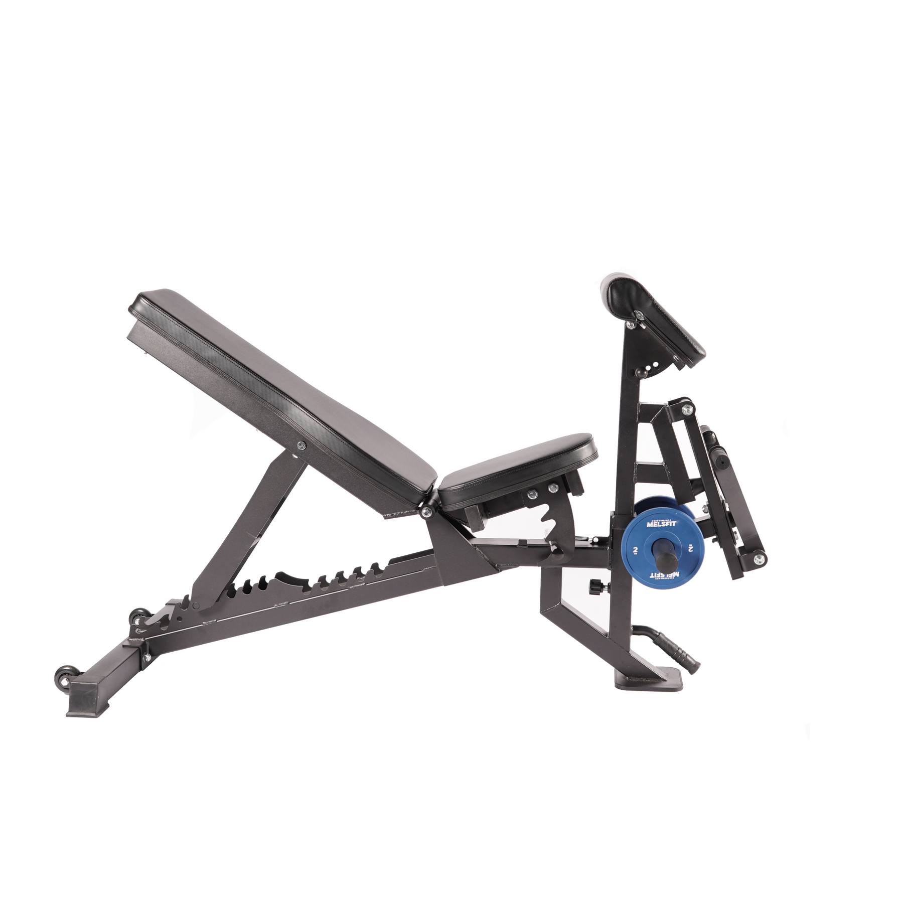 Biceps Curl Attachment for bench V3 - MP