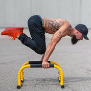 Parallettes Bars (30,5cm high)- Lebert